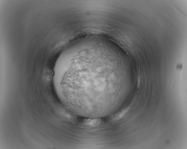 X0000091590135200709101048