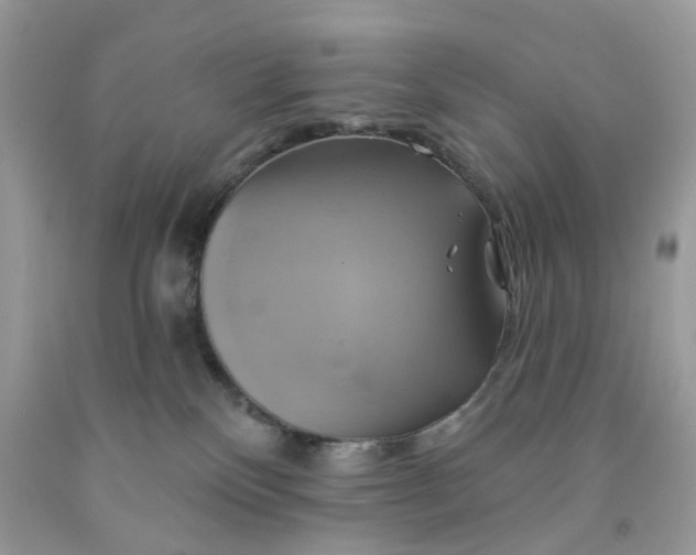 X0000091590136200709101048