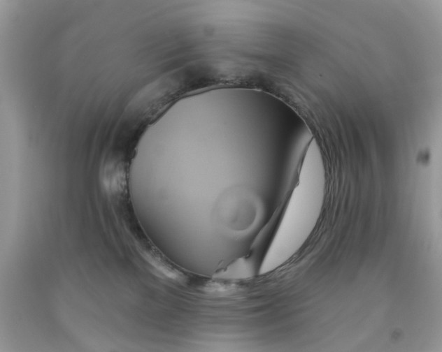 X0000091590137200709101048