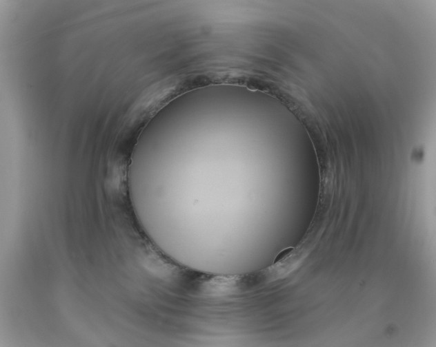 X0000091590138200709101048