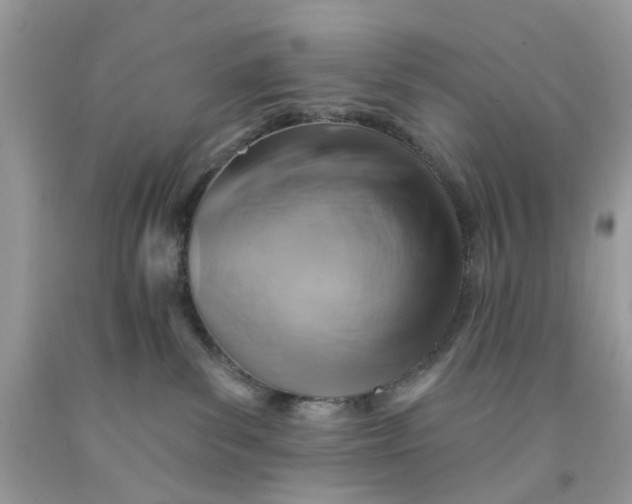 X0000091590139200709101048