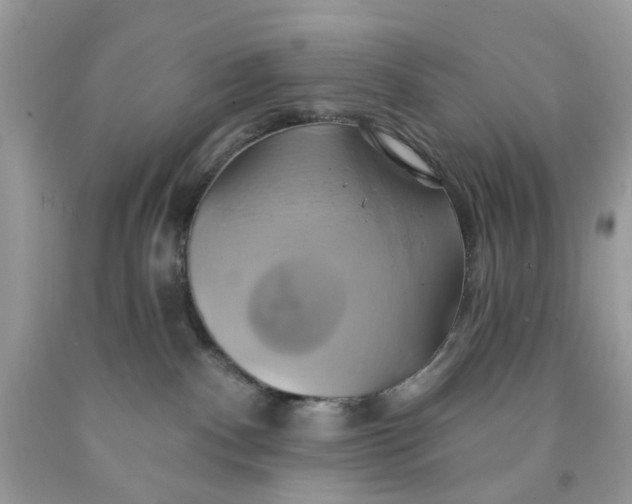 X0000091590140200709101048