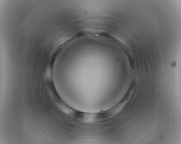 X0000091590143200709101048