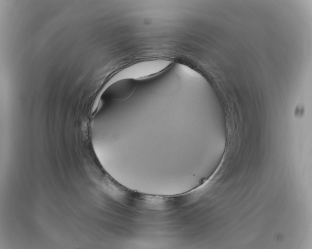 X0000091590144200709101048