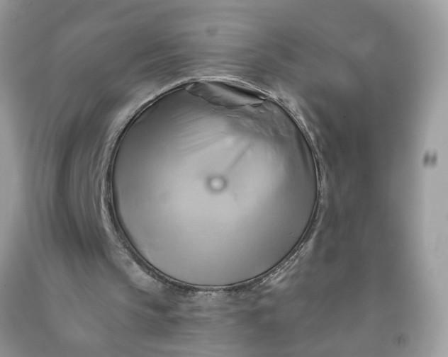 X0000091590145200709101048