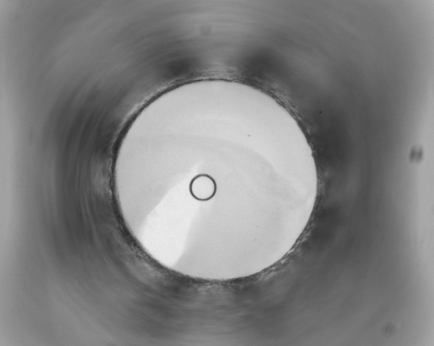 X0000091590146200709101048