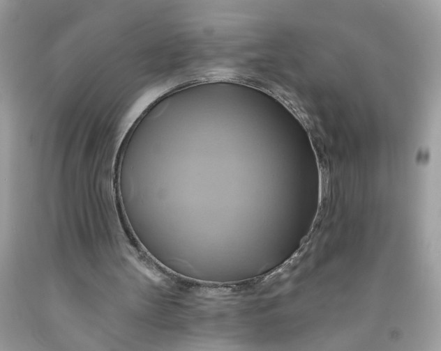 X0000091590147200709101048