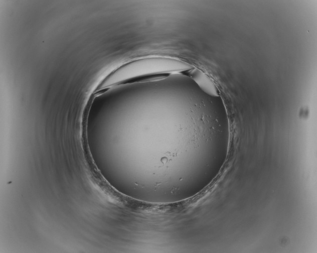 X0000091590148200709101048