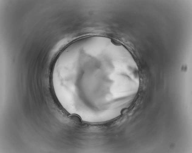 X0000091590149200709101048