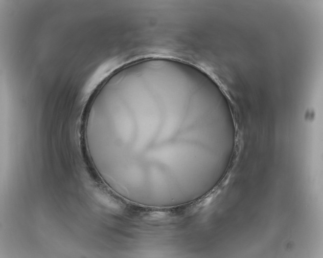 X0000091590151200709101048