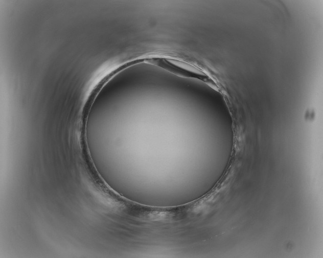 X0000091590152200709101048