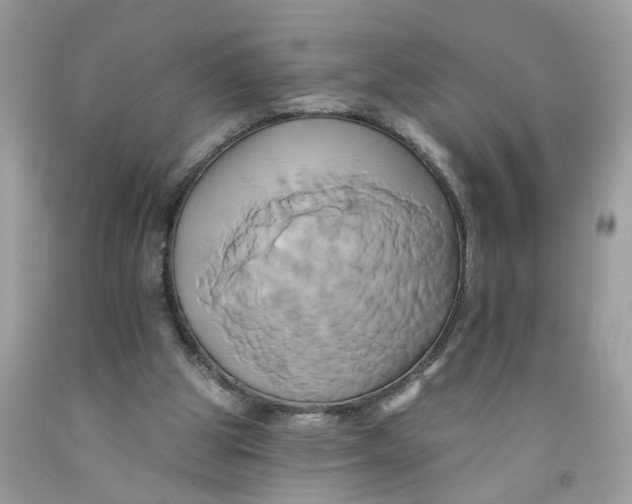 X0000091590153200709101048