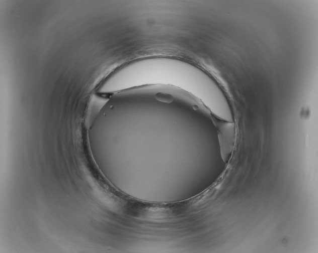 X0000091590154200709101048