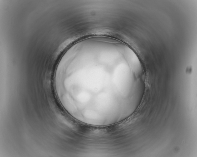 X0000091590155200709101048