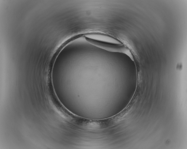 X0000091590156200709101048