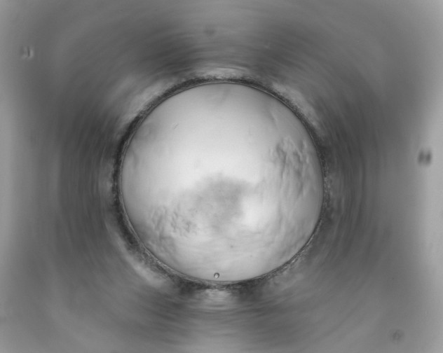 X0000091590159200709101048