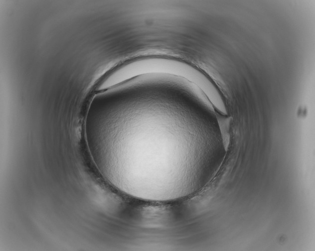 X0000091590160200709101048