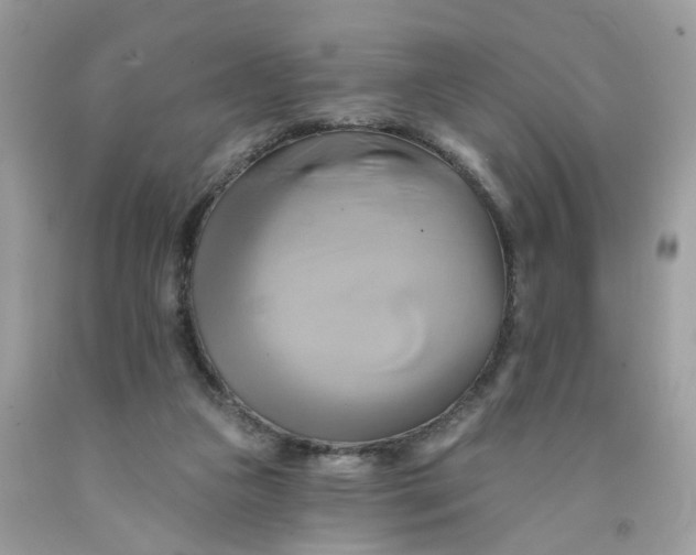 X0000091590161200709101048