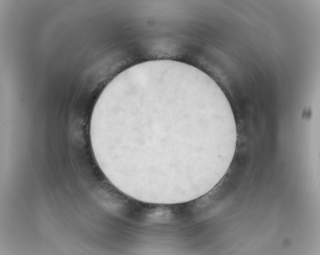 X0000091590162200709101048