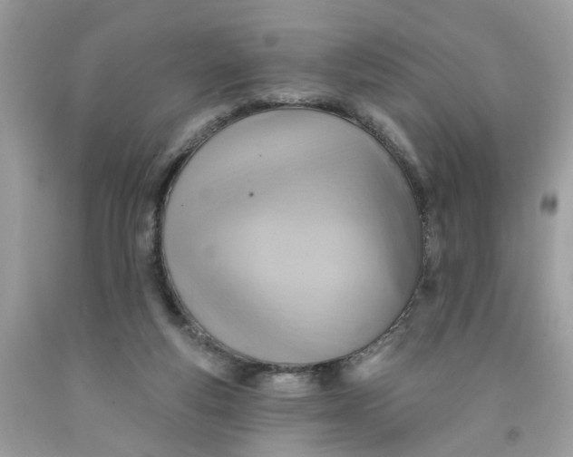 X0000091590163200709101048