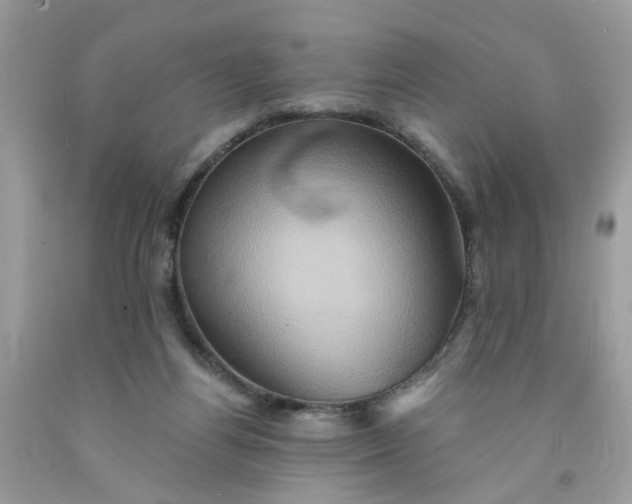 X0000091590164200709101048