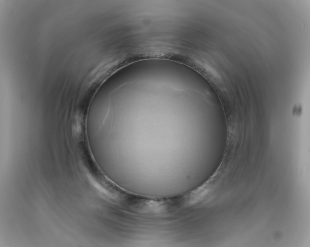 X0000091590166200709101048