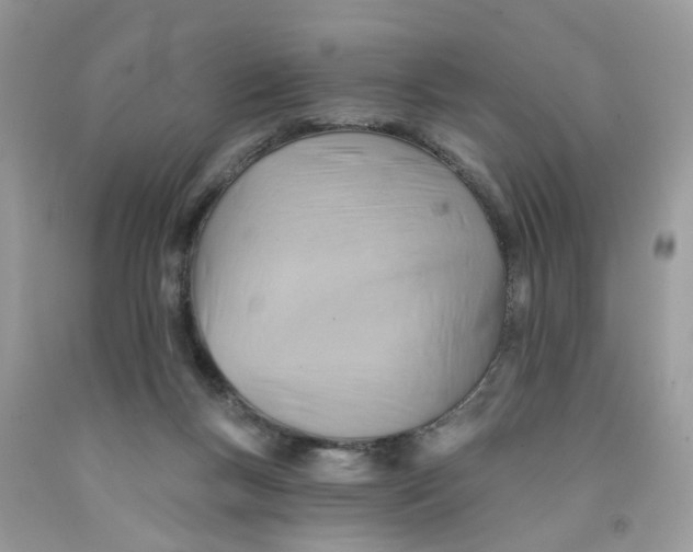 X0000091590167200709101048