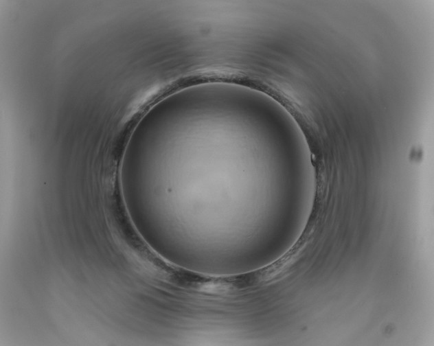 X0000091590168200709101048