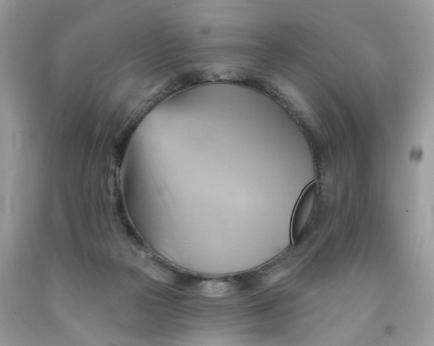 X0000091590169200709101048