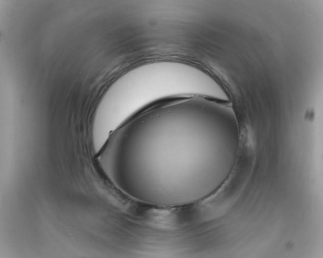 X0000091590170200709101048