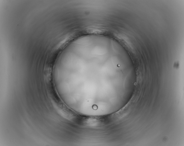 X0000091590171200709101048