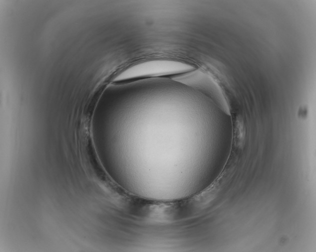 X0000091590172200709101048