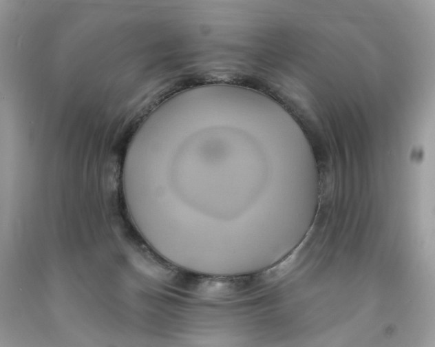 X0000091590174200709101048