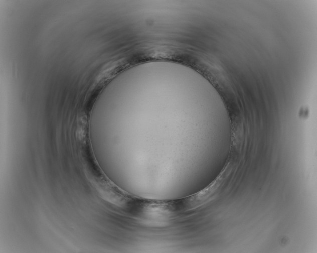 X0000091590175200709101048