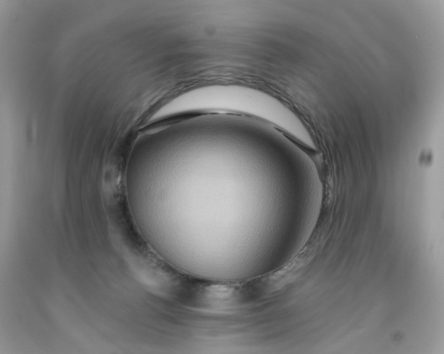 X0000091590176200709101048