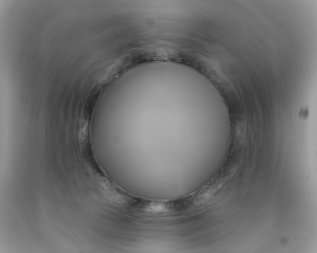 X0000091590177200709101048