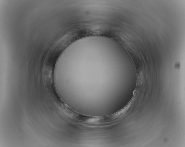 X0000091590178200709101048