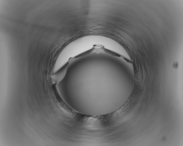 X0000091590180200709101048