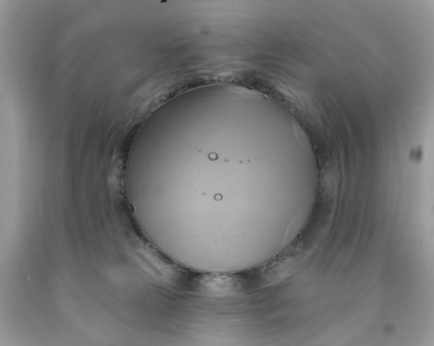 X0000091590181200709101048