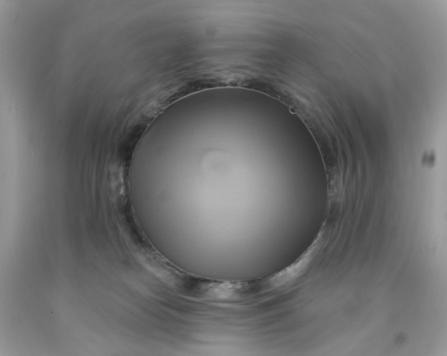 X0000091590182200709101048