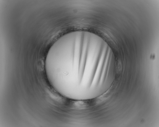 X0000091590183200709101048