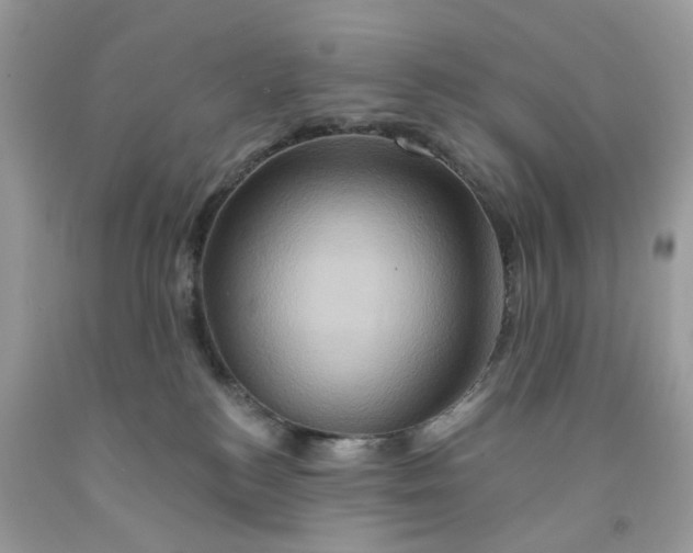 X0000091590184200709101048