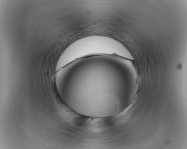 X0000091590186200709101048