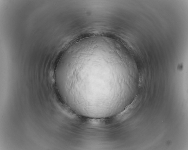 X0000091590187200709101048