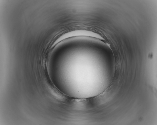 X0000091590188200709101048