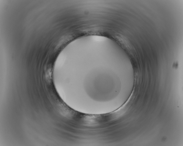 X0000091590190200709101048