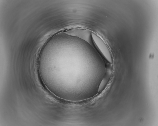 X0000091590193200709101048