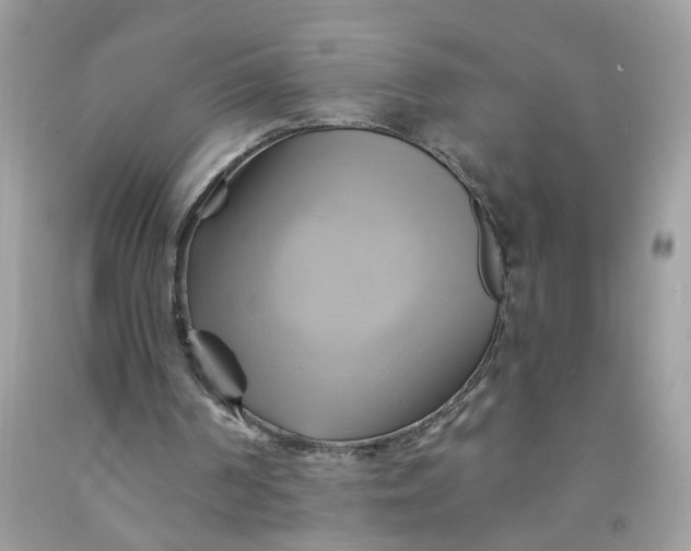 X0000091590194200709101047