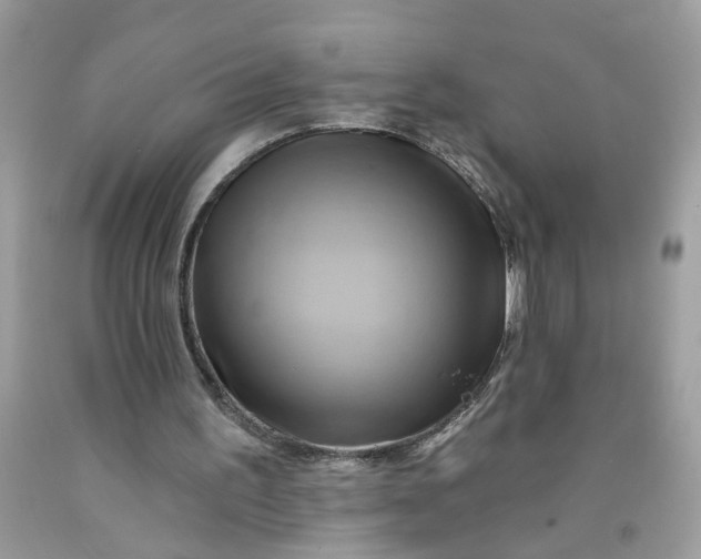 X0000091590195200709101047