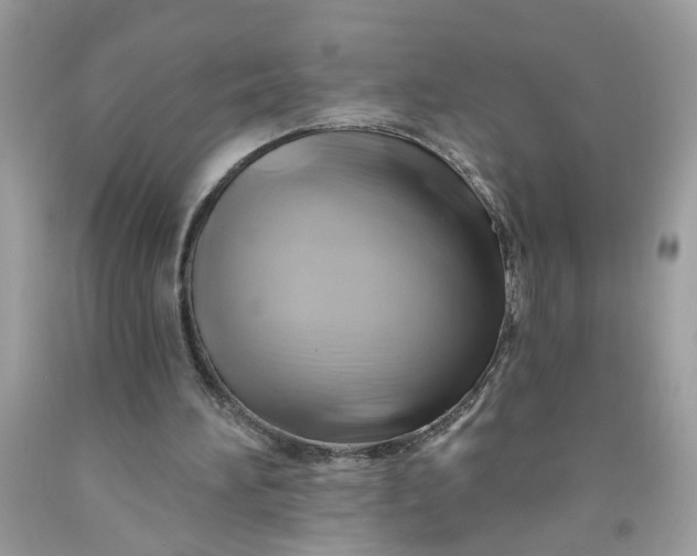 X0000091590196200709101047